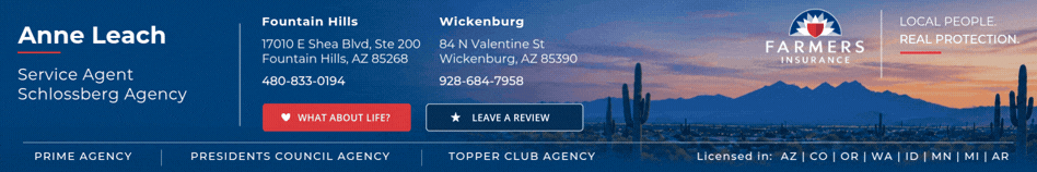 Anne — Schlossberg Agency
