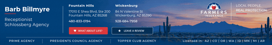 Barb — Schlossberg Agency