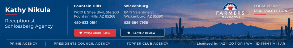 Kathy — Schlossberg Agency