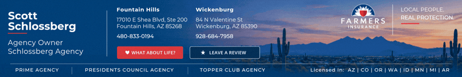 Scott — Schlossberg Agency